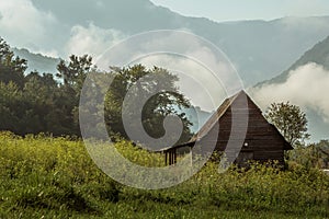 Hut in the foggy forest