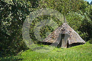 Hut in forrest