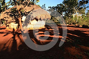 A hut of head hunters from Nome, Indonesia photo