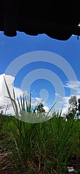 In this hut I take shelter from the hot sun that caresses my skin, huh! But do you know how refreshing this view is?