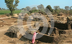 Hut in india