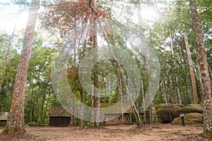 Hut in jungle