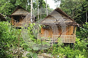 Hut in the jungle of Koh Rong