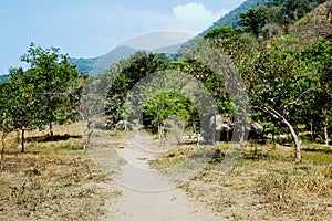 Hut of a kogi tribal farming family growing coca plants in their garden photo