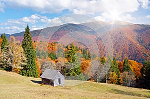 Hut in a mountain forest. Autumn Landscape