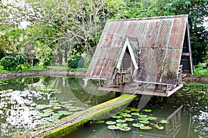 The hut over lotus swamp