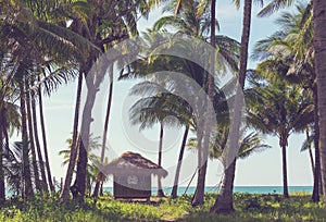 Hut in Palawan