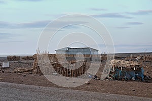 Hut in the remote region of Afar in Ethiopia