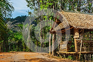 Hut on the road in the jungle on the Phuket in Thailand