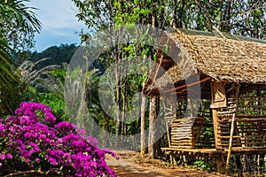 Hut on the road in the jungle on the Phuket in Thailand