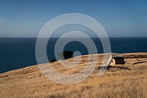 A hut stand on dried Grass flower in meadow with sun lights