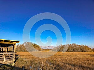 hut in the swamp