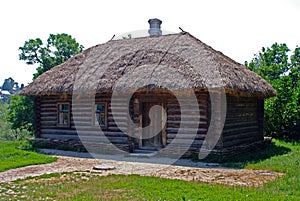 A hut with a thatched roof.