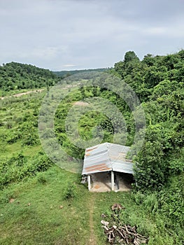 Hut tree blue sky stone forest