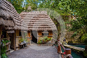 Hut in tropical jungle forest, Playa del Carmen, Riviera Maya, Yu atan, Mexico photo