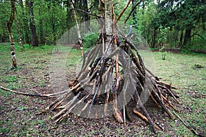 A hut of twigs in the forest. Nature, survival, the laws of life