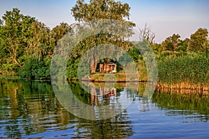 A hut under a tree on the coast of the Konka River in Kherson Ukraine. Natural landscape of a reservoir with a wooded swamp