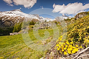 Hut in upper Valmalenco IT