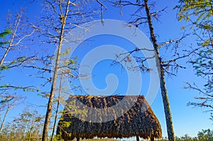 Hut in the wetlands