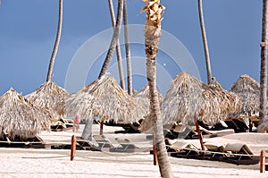 Beach huts photo