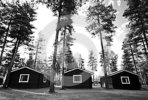 Huts or cabins in forest