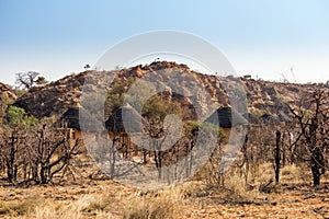 Huts of Camp in Mapungubwe National Park, South Africa photo
