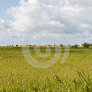 Huts in Falsterbo