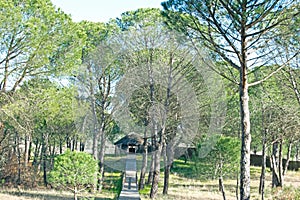 Huts or traditional dwellings in the DoÃÂ±ana National Park photo