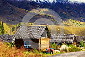 Huts of tuva people in hemu village, xinjiang province