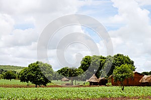 Huts Village - Zambia photo