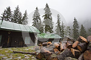 Huts in the woods