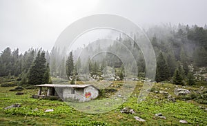 Huts in the woods