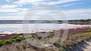 Hutt Lagoon Landscape