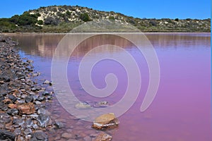 Hutt Lagoon Pink lake at Port Gregory in Western Australia