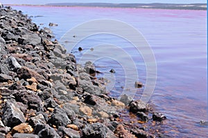 Hutt Lagoon Pink lake at Port Gregory in Western Australia