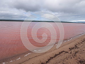 Hutt Lagoon's Pink Lake