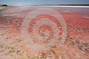 The pink waters of Hutt Lagoon. Port Gregory. Western Australia. Australia