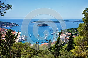 Hvar town and the harbor framed by foliage in Croatia