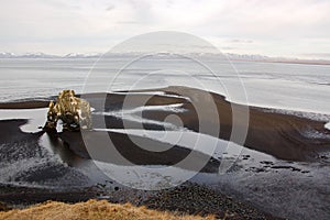 Hvitserkur, black sand, basalt stack, Iceland