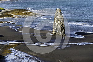 Hvitserkur is a strange stone shaped like a dragon and a monster. On the northern coast of Iceland