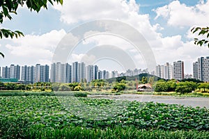 Hwarang Recreation Area park and modern apartment buildings at summer in Ansan, Korea