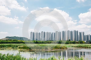 Hwarang Recreation Area park and modern apartment buildings at summer in Ansan, Korea