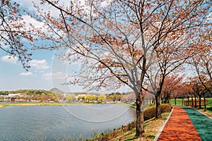 Hwarang Recreation Area park at spring in Ansan, Korea