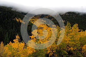 Hwy 40 valley in fall 3 photo