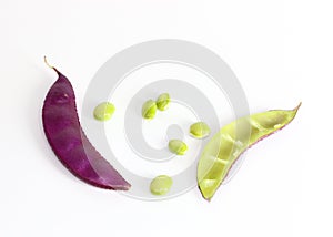 Hyacinth bean Close up in garden