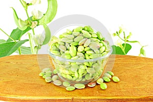 Hyacinth bean valor or indian papdi beans on white background photo