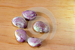 Hyacint fazole v tropický 
