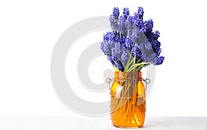 Hyacinth flower bouquet in a vase