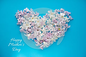 Hyacinth flowers on blue background with heart