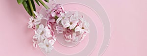 hyacinth flowers on pastel pink colors with space for your text. Spring coming concept. Spring or summer background.